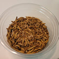 2,000 Live Mealworms (200g)
